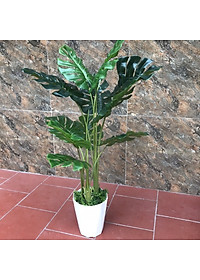 product-img-2