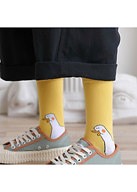 product-img-8