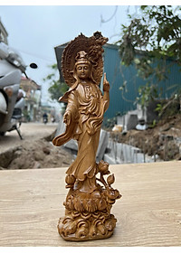 product-img-2