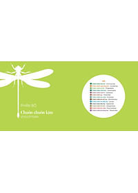 product-img-10