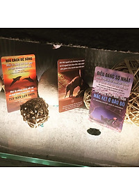 Combo 3 Hòm Kho Báu - 156 Bookmark Độc Đáo Hơn 10 Công Dụng - Các Câu Nói Hay Tạo Động Lực Mạnh Mẽ - Hình Ảnh Châm Ngôn Ý Nghĩa Về Cuộc Sống - Fususu Cards Cực Sáng Tạo Và Dễ Thương