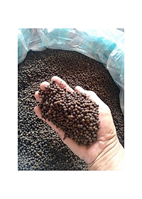 Tiêu rừng Kon Tum ( màng tang) hút chân không