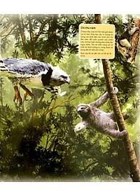 Tủ Sách Thế Giới Động Vật - Nơi Ở Và Thói Quen (Hình Minh Họa 3D)