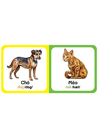 Sách - combo 9 Quyển Từ Điển Bằng Hình Đầu Tiên Của Bé Từ 0-6 tuổi - Song Ngữ Anh- Việt (Các trang đều là Bìa Cứng) vàng