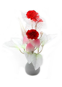 product-img-7