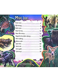 Sách Độc Lạ Phi Thường - Thú Con Bé Bỏng