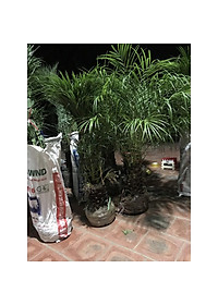 product-img-5