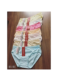 Combo 10 chiếc quần lót cotton trơn co dãn tốt fom từ 45-60kg