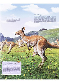 Sách Di Chuyển Và Di Cư