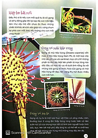 Sách Thực Vật Thần Kỳ