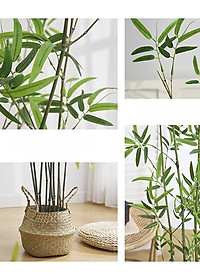 Set 10 cây trúc giả ( Loại thường) - Size từ 120cm đến 150cm - Cây giả, hoa lụa Decor trang trí nhà cửa