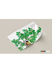 Truyện Ehon bé 3-4-5 tuổi - Hãy gửi thư cho tôi