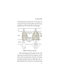 product-img-10