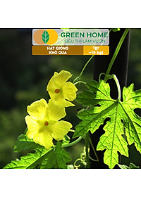 Hạt Giống Khổ Qua Greenhome, Gói 1gr~10 hạt, Dễ Trồng Quanh Năm, Nảy Mầm Cao, Thu Hoạch Nhanh, Năng Suất Cao T05