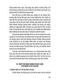 product-img-8