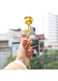 Bộ Sưu tập Hoa hồng mạ vàng 