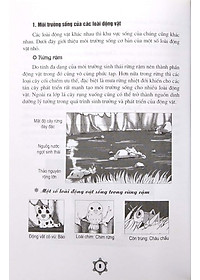 Vẽ Truyện Tranh Phong Cách Nhật Bản - Tạo Hình Và Bối Cảnh Truyện Tranh Hoạt Hình