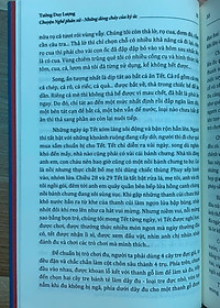 product-img-29