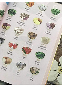 Combo 2 sách Phân tích đáp án các bài luyện dịch Tiếng Trung và Make your Chinese map Bản đồ tư duy từ vựng Tiếng Trung theo chủ đề +DVD tài liệu