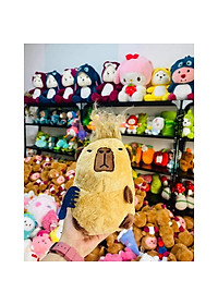 product-img-8