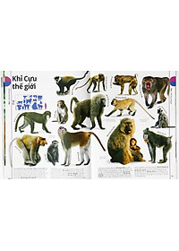 Sách Động Vật - Bách Khoa Thư Hình Ảnh Về Các Loài Vật Trên Trái Đất