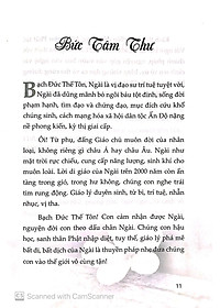 product-img-11