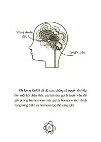 product-img-10