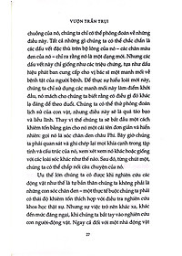 product-img-7