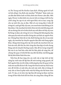 product-img-13