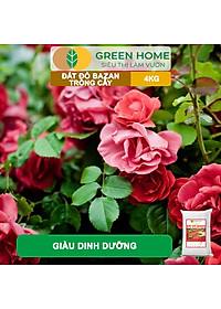 product-img-9