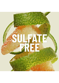 Dầu gội bưởi Pomelo Cocoon 310ml kích thích mọc tóc, giảm rụng tóc thuần chay