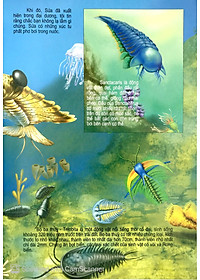 Sách Thế Giới Động Vật Kì Thú - Động Vật Thời Cổ Đại