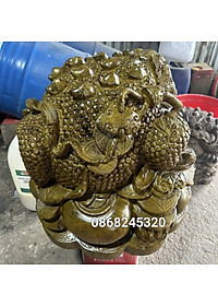 product-img-2