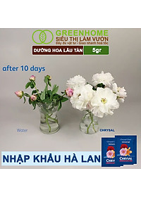 Dưỡng Hoa Lâu Tàn Greenhome, Chrysal, Gói 5gr, Phân Bón Cho Hoa Cắt Cành, Lâu Tàn, Nở Bông To, Không Bị Hôi Nước