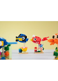product-img-15