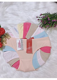 combo 10 chiếc quần lót cotton trơn co dãn tốt fom từ 45-60kg