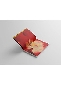 product-img-13