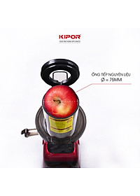 Máy ép chậm KIPOR KP-SJ595 - Chân đế chống rung lắc - Tặng lưới làm kem - Động cơ đồng nguyên chất công suất lớn -Hàng chính hãng