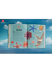 product-img-6