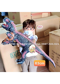 product-img-6