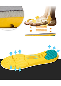 Miếng lót giày thể thao thoáng khí V.3 - Size nam (41-45)