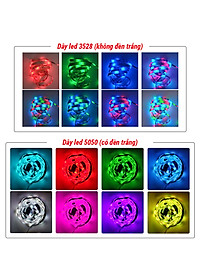 Combo 10M Dây Đèn LED Trang Trí RGB Kèm Nguồn và Remote