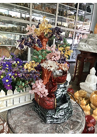 product-img-3