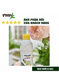 Combo 2 Chai Dịch Chuối Humic PMP Vi Sinh Chuyên Dùng Cho Hoa Hồng, Rau Sạch 1L/Chai