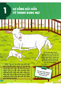 Sách Hiểu Về Sự Sống - Sự Sống Bắt Đầu Từ Đâu? - Tập 1