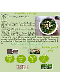 Hạt Giống Mồng Tơi Cao Sản Mồng Tơi Lá To Dễ Trồng,Giàu Dinh Dưỡng - Phú Nông Seeds 15Gr