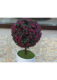 product-img-17