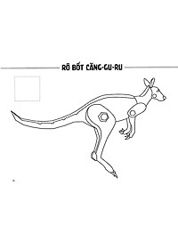 product-img-8