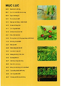 Sách Thế Giới Động Vật Kì Thú - Vườn Côn Trùng