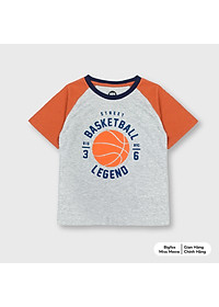 product-img-12